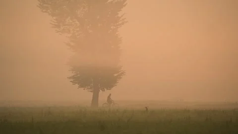 View of a person cycling past a tree in thick fog, Bangladesh. Stock Footage 335616611