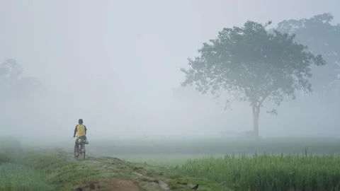 View of a person riding a bicycle through misty fields, Bangladesh. 스톡 동영상 335546909