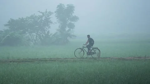 View of a person riding a bicycle through a foggy field, Bangladesh. Stock Footage 335596920