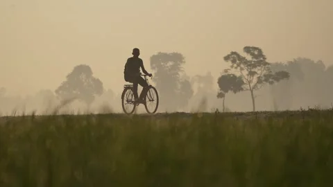 View of a person riding a bicycle through misty fields, Bangladesh. Vídeos de archivo 335598134