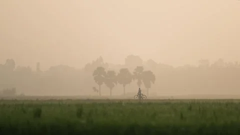 View of a person riding a bicycle through a misty field, Bangladesh. Vídeo Stock 335617204