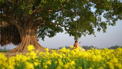 View of a person on a swing under a banyan tree in Bogura, Bangladesh. Stock Footage 335583805