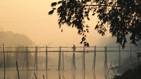 View of a person walking on a bamboo bridge at sunrise, Bangladesh. Stock Footage 335614556