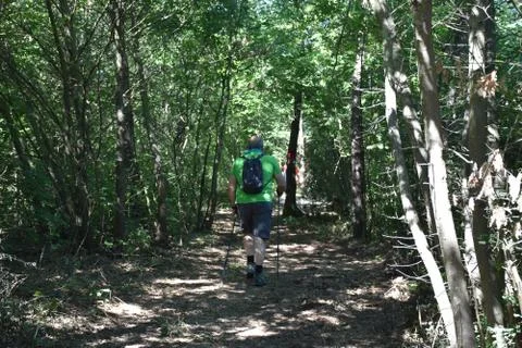 View of a person walking in the path  Foto stock