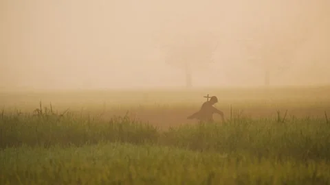 View of a person walking through a misty field at dawn, Bangladesh. Video stock 335587248