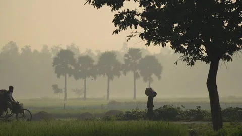View of a person walking through a misty field in Bogura, Bangladesh. Stock Footage 335592707