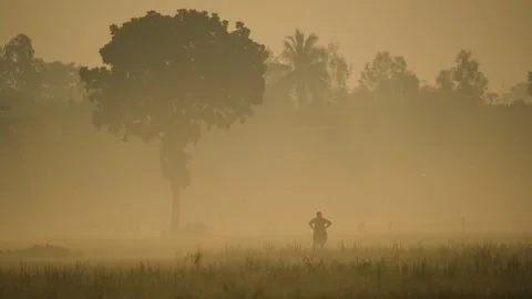 View of a person walking through a misty field at sunrise, Bangladesh. Vídeos de archivo 335618859