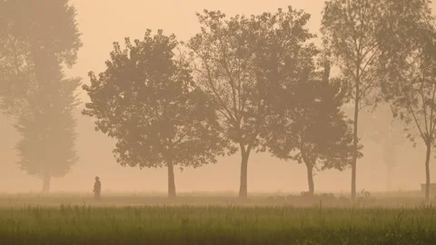 View of a person walking through a misty field, Bangladesh. Video stock 335620044