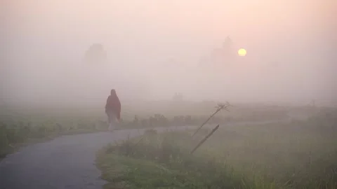 View of a person walking through thick morning fog in Bangladesh. Vídeo Stock 335590472