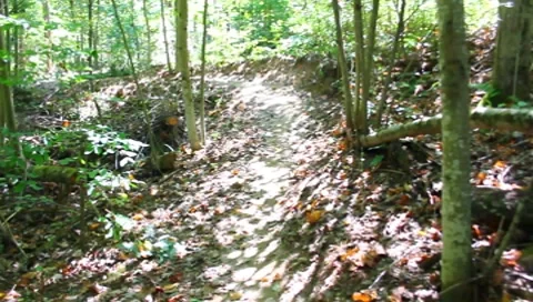 View of a person walking on a trail Stock Footage 8666500