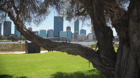 View of the Perth CBD from South Perth over the Swan river in Western Australia 스톡 동영상 131282577