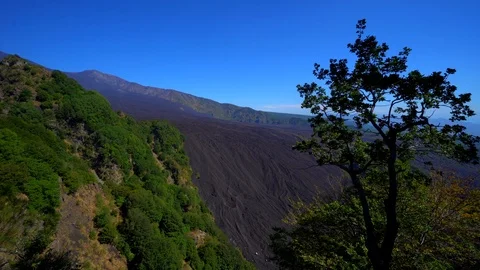 View of the petrified lava flow at the slopes of the volcano Etna, Italy. Stock Footage 95780318