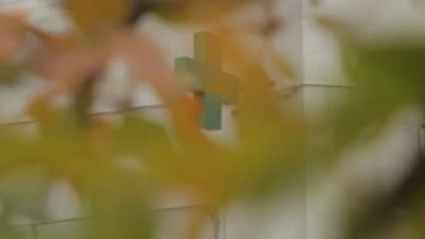 View of the pharmacy sign through the yellow leaves. LED illuminated cross Stock Footage 142659999