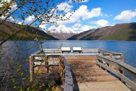 The view. Stock Photos