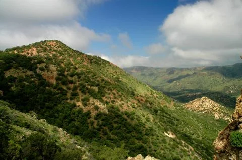 The View Stock Photos