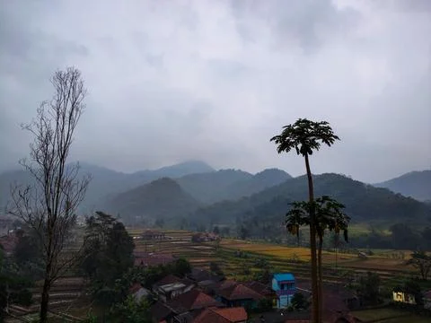 View 库存照片