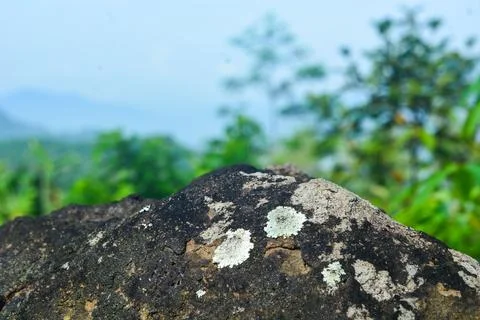 A view photo of a small flat stone podium on a stone platform, with lush gr.. Stock Photos