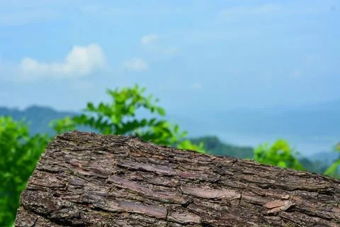 A view photo of a small flat stone podium on a stone platform, with lush gr.. Stock Photos
