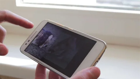View photos on a smartphone Stock Footage 70672712