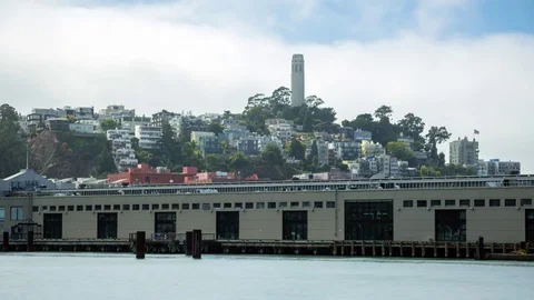 View from pier 7 to Coit Tower  located on Telegraph Hill Stock Footage 80715623