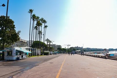 View to the pier and palm tree in Cannes, Foto stock