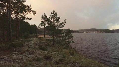 View from the pine beach to the sunset on the lake Stock-Footage 89691506