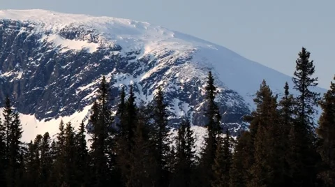 View to the pine forest and mountain covered with snow in Hemsedal, Norway. Stock Footage 61469153