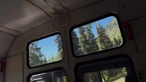 View of Pine Forest and Mountains from Bus Windows Vídeos de archivo 340869764