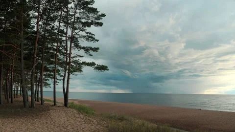 View from a pine forest to the sea with rainy clouds Stock Footage 297400915