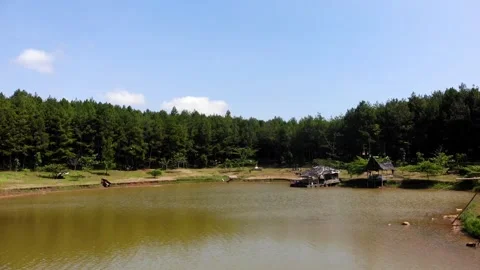 View of pine trees and lake. Sukabumi, Indonesia Video stock 245959359