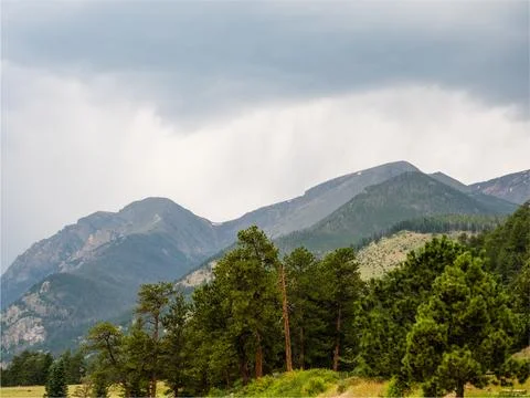 View of pine trees, mountain tops, and storm clouds. Foto stock