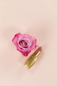 View of a pink rose and lipstick on pink background Stock Photos