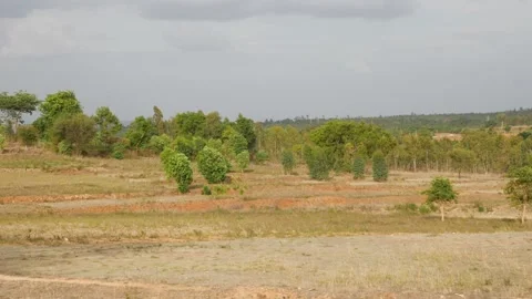 View of plain area with few trees and plants Stock Footage 156962760