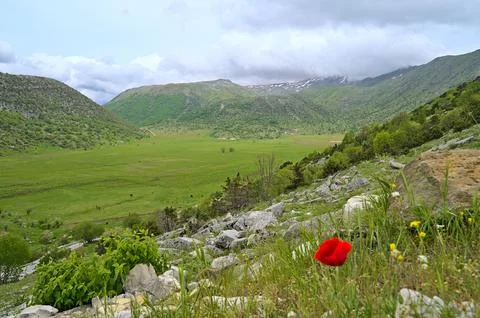 View on a plain in the Zagoria Nature Park 库存照片
