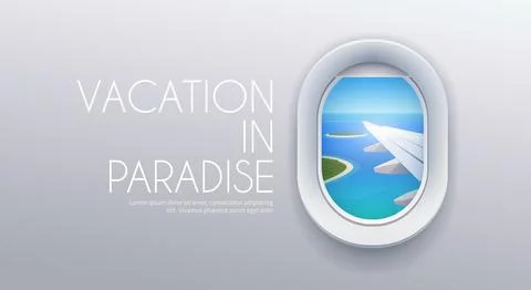 View from plane. Stock Illustration