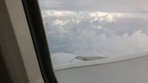 View from plane window Stock Footage 111036908