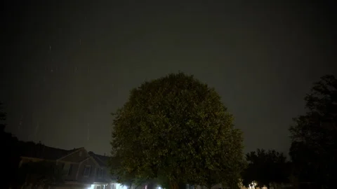 View of plant tree in front of the house at suburb street during the storm Stock-Footage 319729007