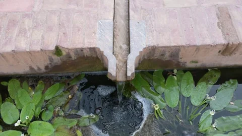View of a Planted Basin with Waterfall Cascading Down Steps Stock Footage 285274170