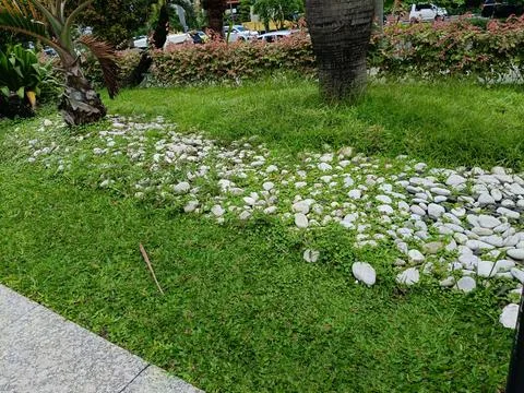 View of plants in the park Stock Photos