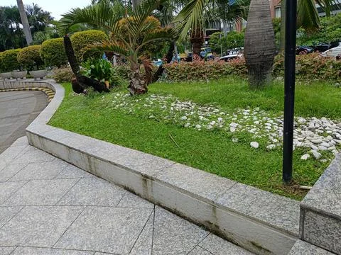 View of plants in the park Stock Photos