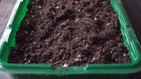 View of a plastic container with earth and fertilizer at home Stock Footage 132829078