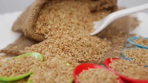 View of plastic spoons filled with sesame seeds Vídeo Stock 147694635