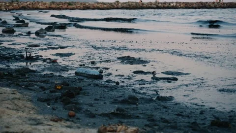 View of plastic trash and black slime on the seashore, ecology problems Stock Footage 201854178