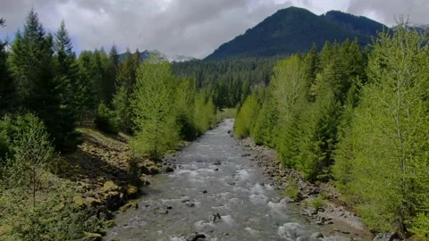 The View of PNW Video stock 160010722