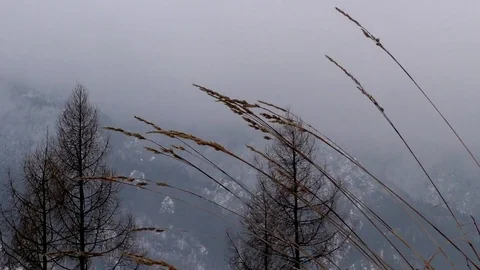 View of Poddolina from Oblaz. Stock Footage 83158989