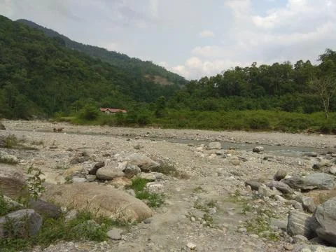 View point beside river &amp; forest Stock Photos