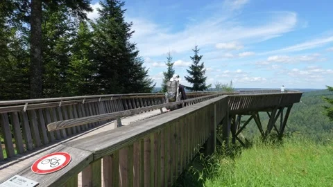 View point in Black Forest, Germany with a Hiker and Panoramic View 스톡 동영상 345017807
