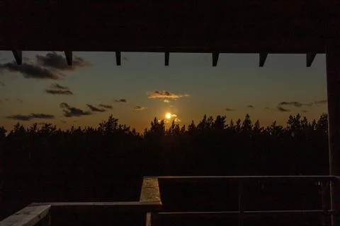 View point forest in shadows Stock Photos