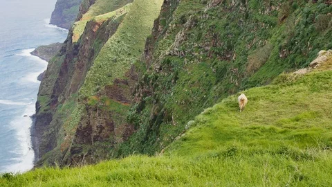 View point in Lombada Velha, Madeira. Stock-Footage 103463228