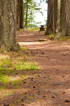 View point at mount Maxwell at Salt Spring Island, British Columbia, Canada. Stock Photos